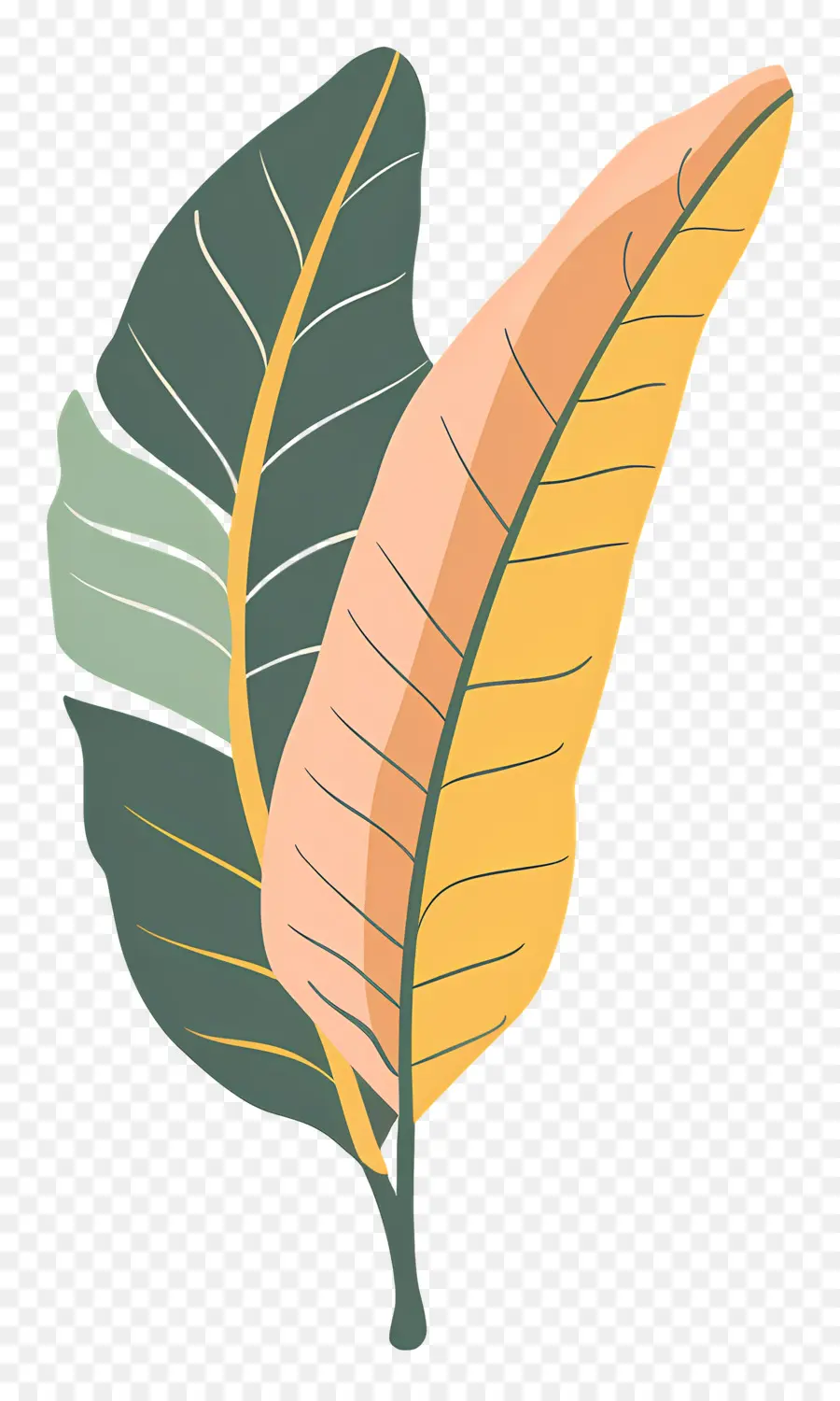 Feuilles De Bananier，Feuilles Colorées PNG