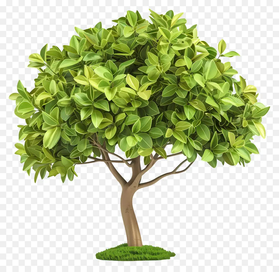 Arbre 3d，Arbre PNG