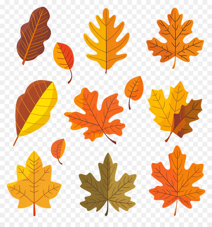 Feuilles D'automne，Feuilles PNG