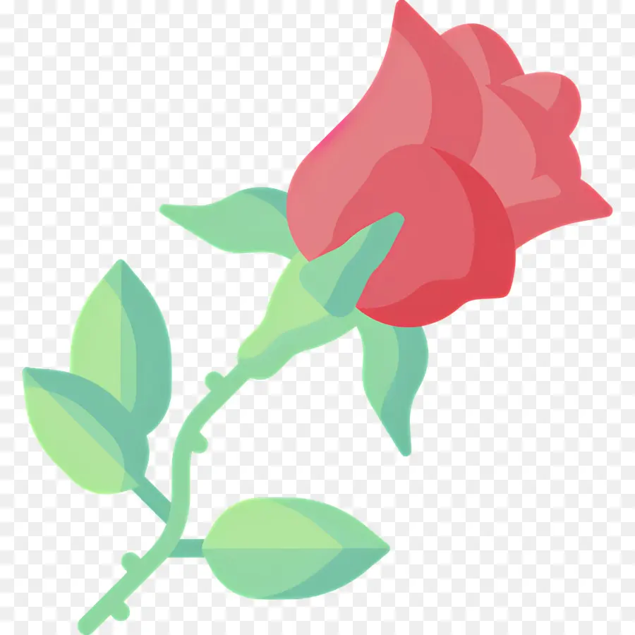 Fleur Rose，Rose Rose PNG