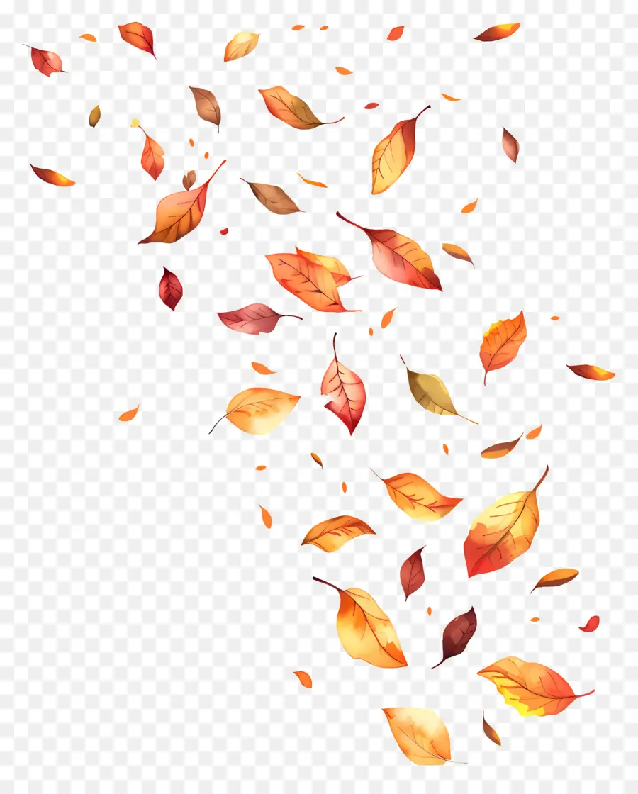 Feuilles Qui Tombent，Feuilles PNG