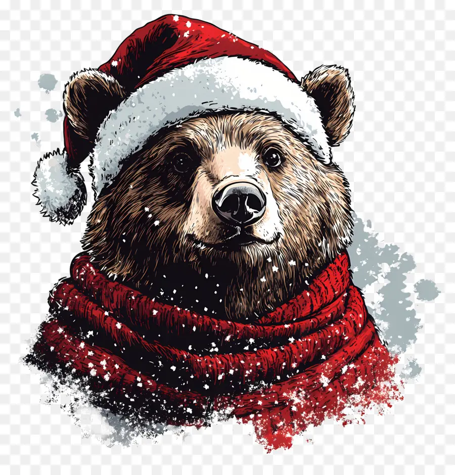 Ours De Noël，Ours Avec Bonnet De Noel PNG