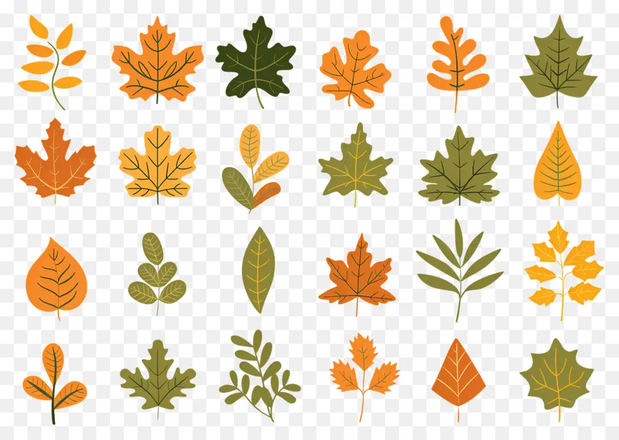 Feuilles D'automne，Automne PNG