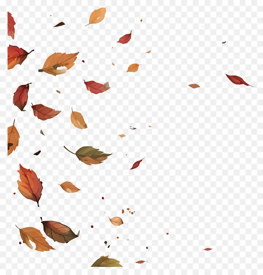 Feuilles Tombées，Feuilles PNG