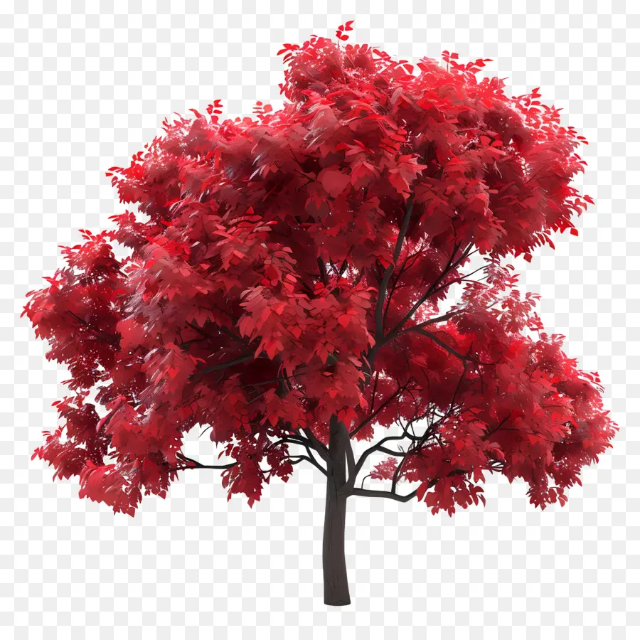 Arbre 3d，Arbre PNG