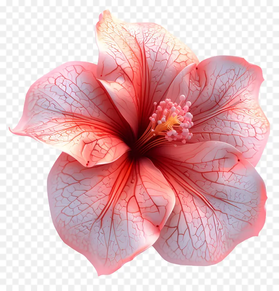 Fleur D'azalée Modèle 3d，Fleur D'hibiscus PNG