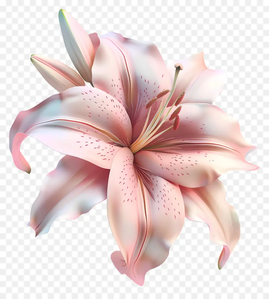 Fleur 3d，Lis PNG