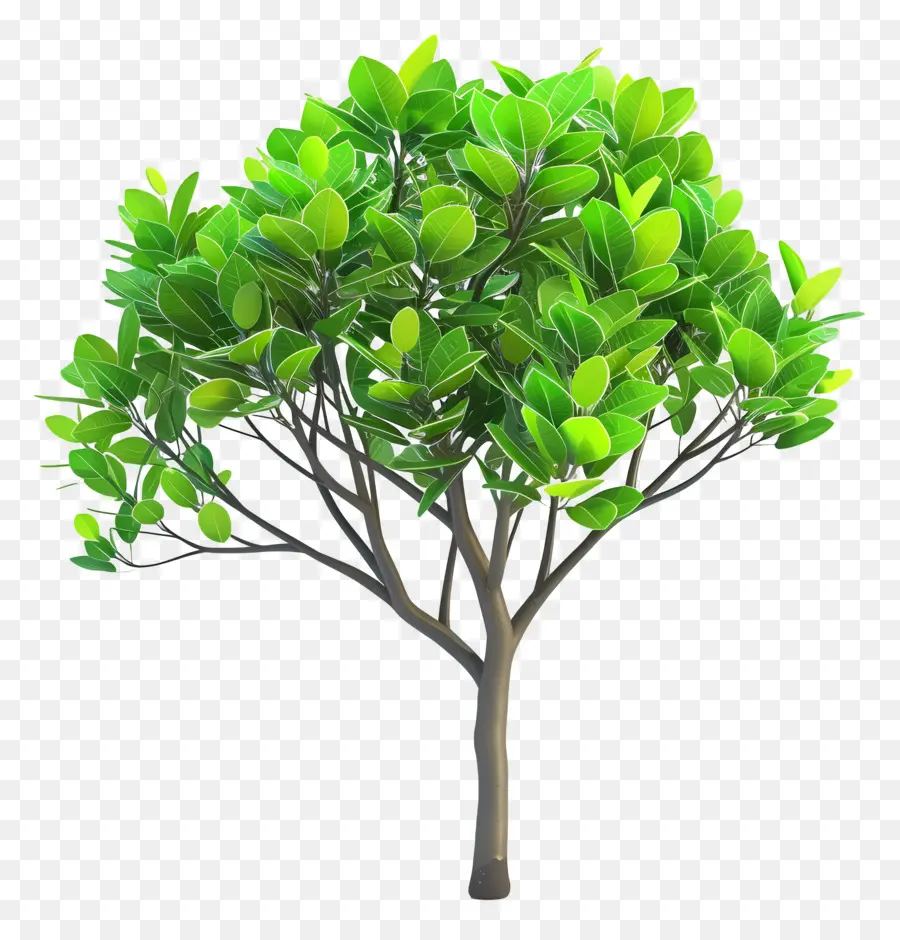 Arbre 3d，Arbre Vert PNG