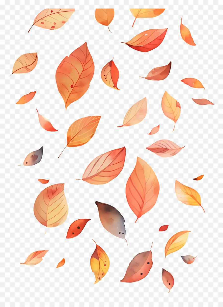 Feuilles Qui Tombent，Feuilles PNG