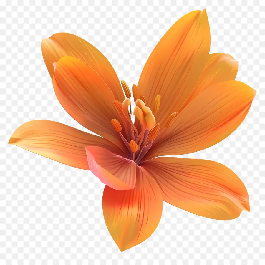 Fleur 3d，Fleur D'oranger PNG