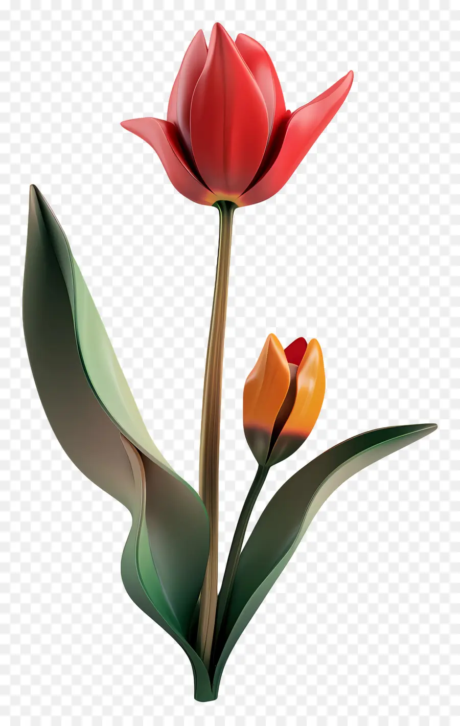 Fleur 3d，Tulipe Rouge PNG