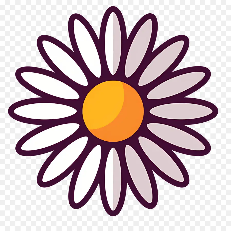 Fleur De Marguerite，Tournesol PNG