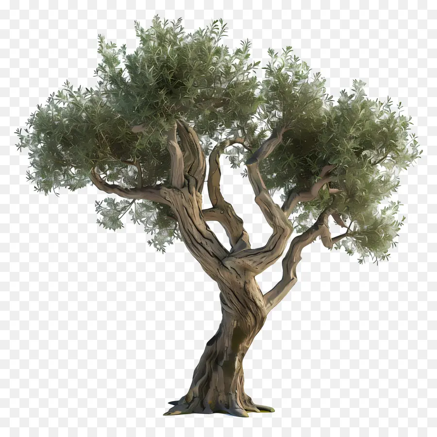 Arbre 3d，Arbre Tordu PNG