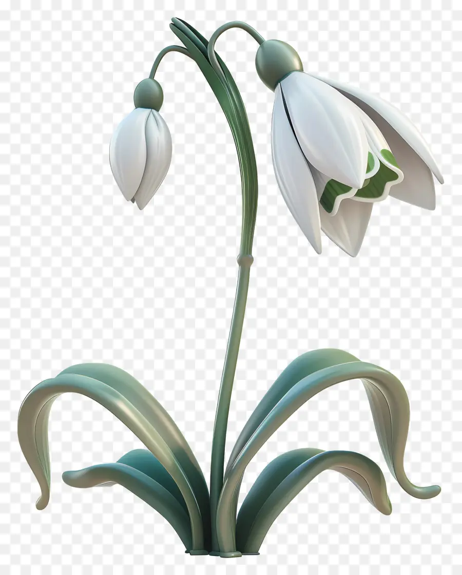 Fleur 3d，Perce Neige PNG