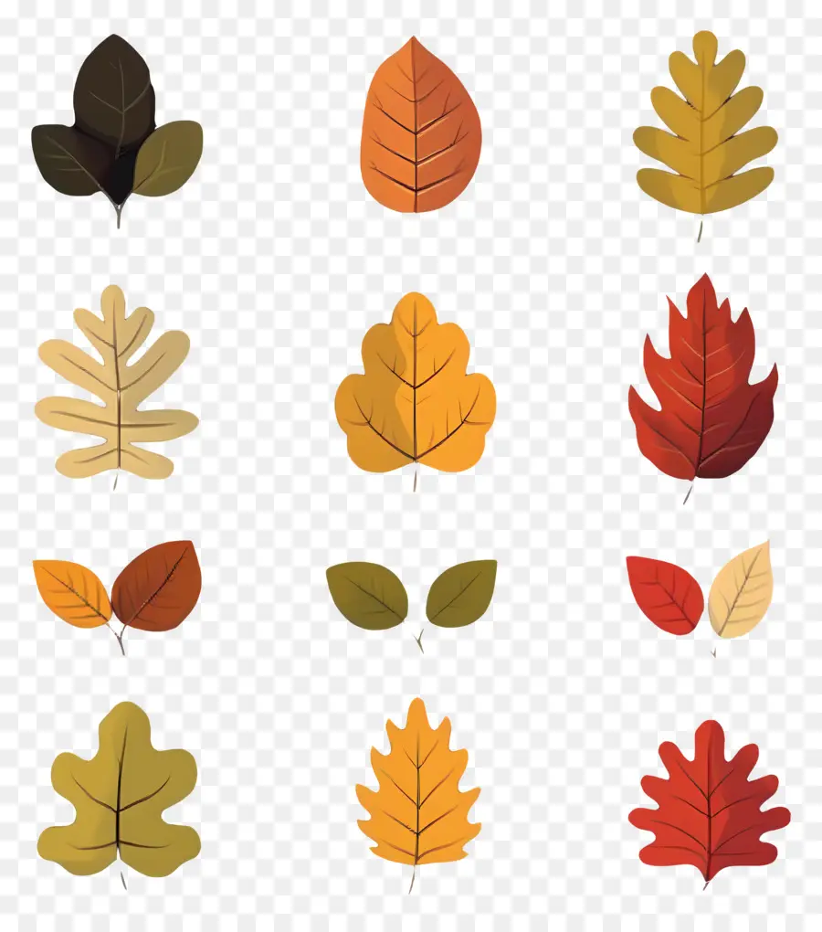 Feuilles D'automne，Automne PNG