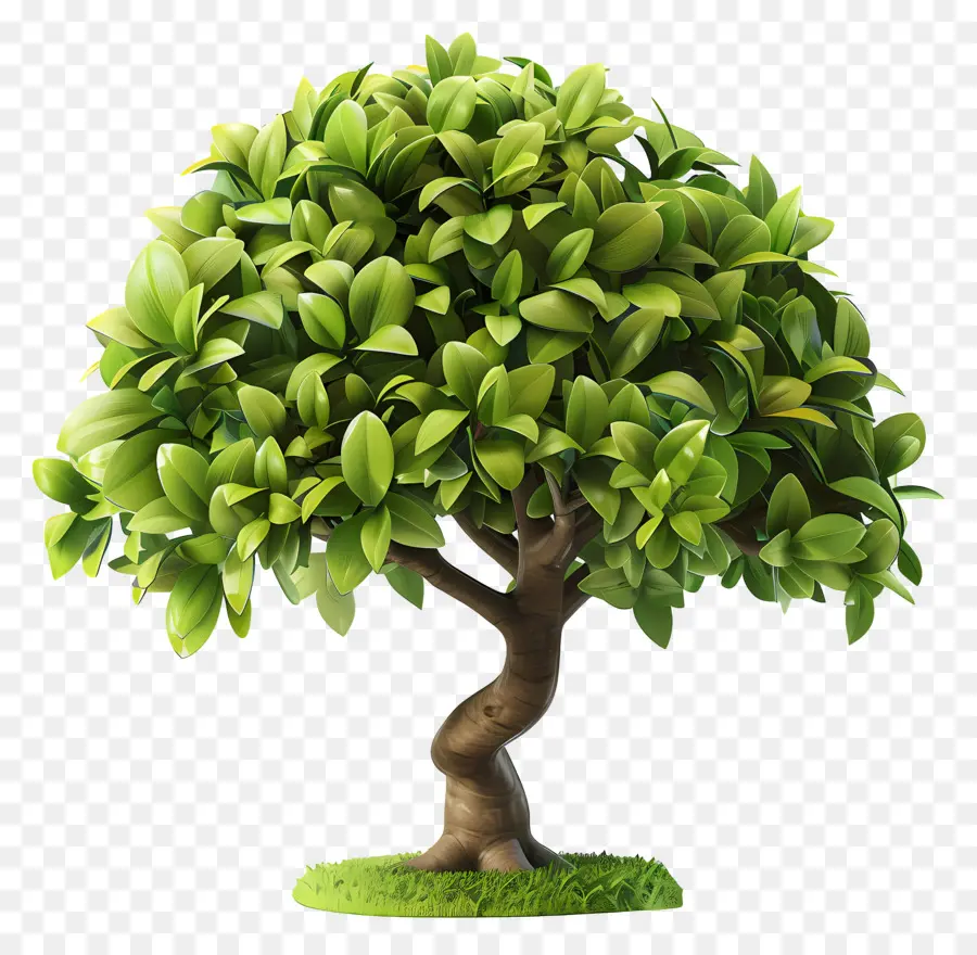 Arbre 3d，Arbre PNG