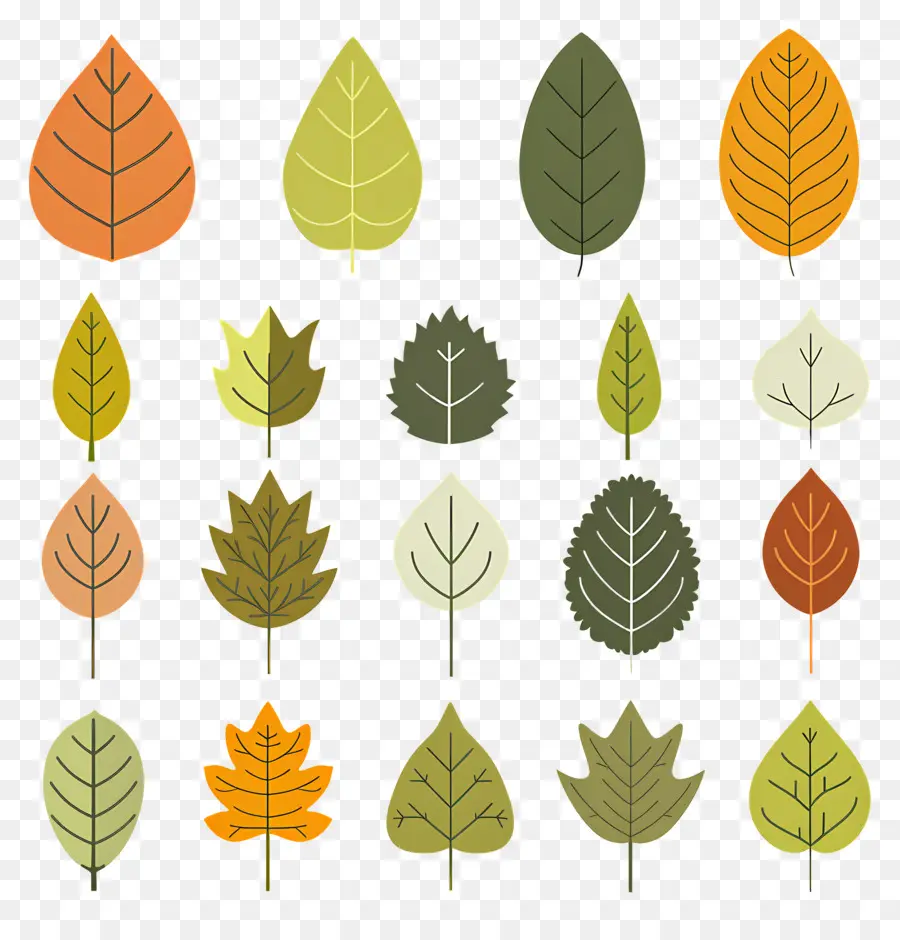 Feuilles D'automne，Automne PNG