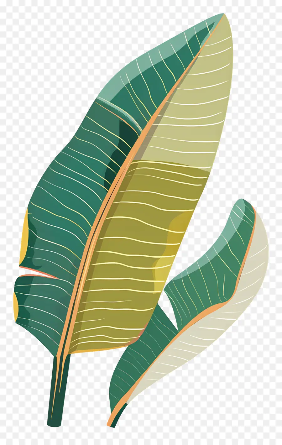 Feuilles De Bananier，Tropical PNG