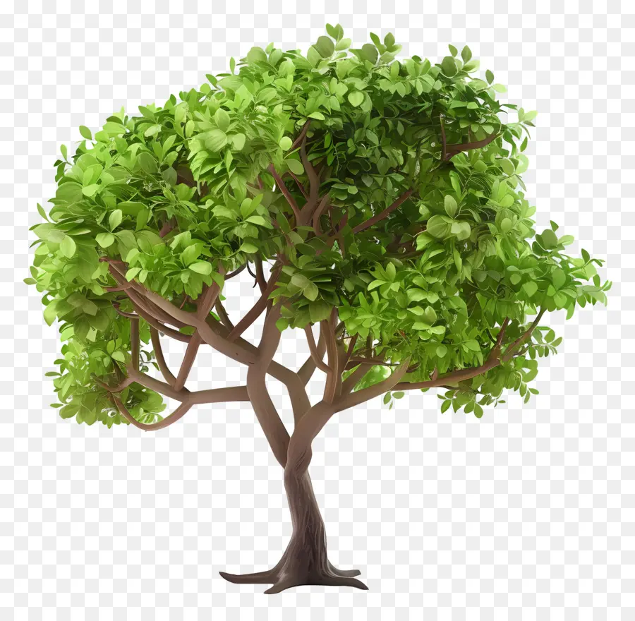 Arbre 3d，Arbre Vert PNG