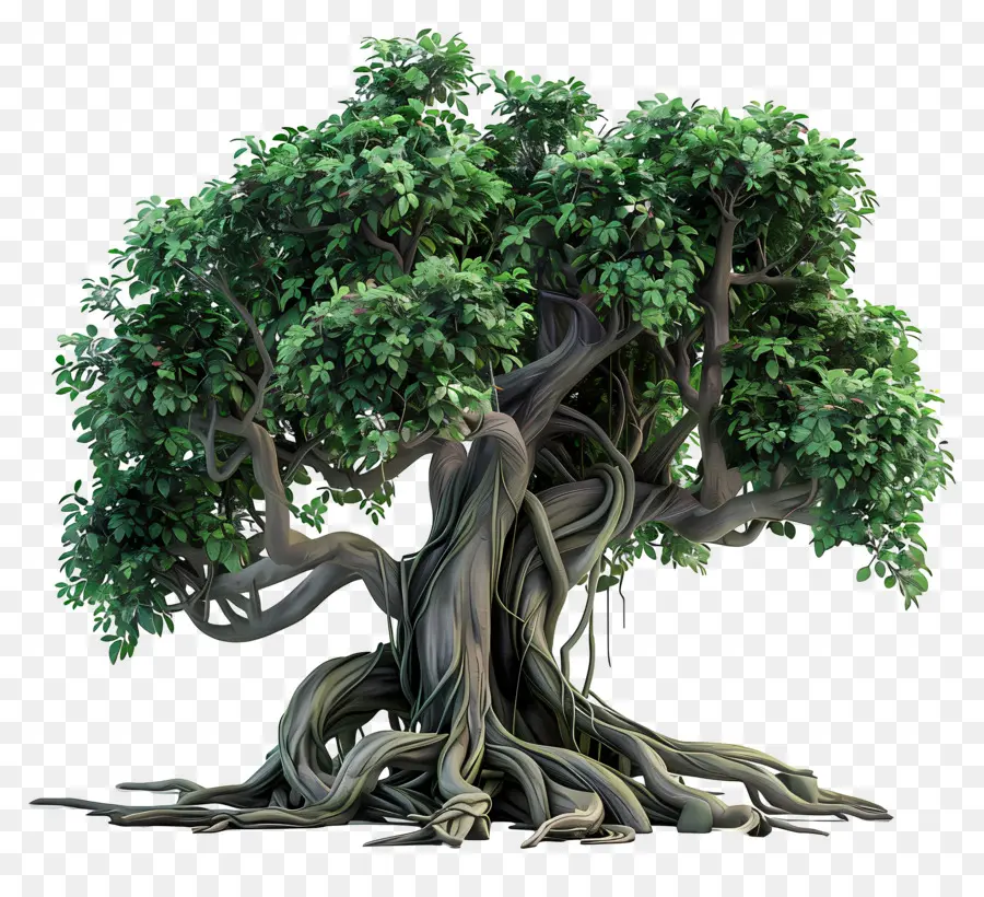 Arbre 3d，Arbre PNG