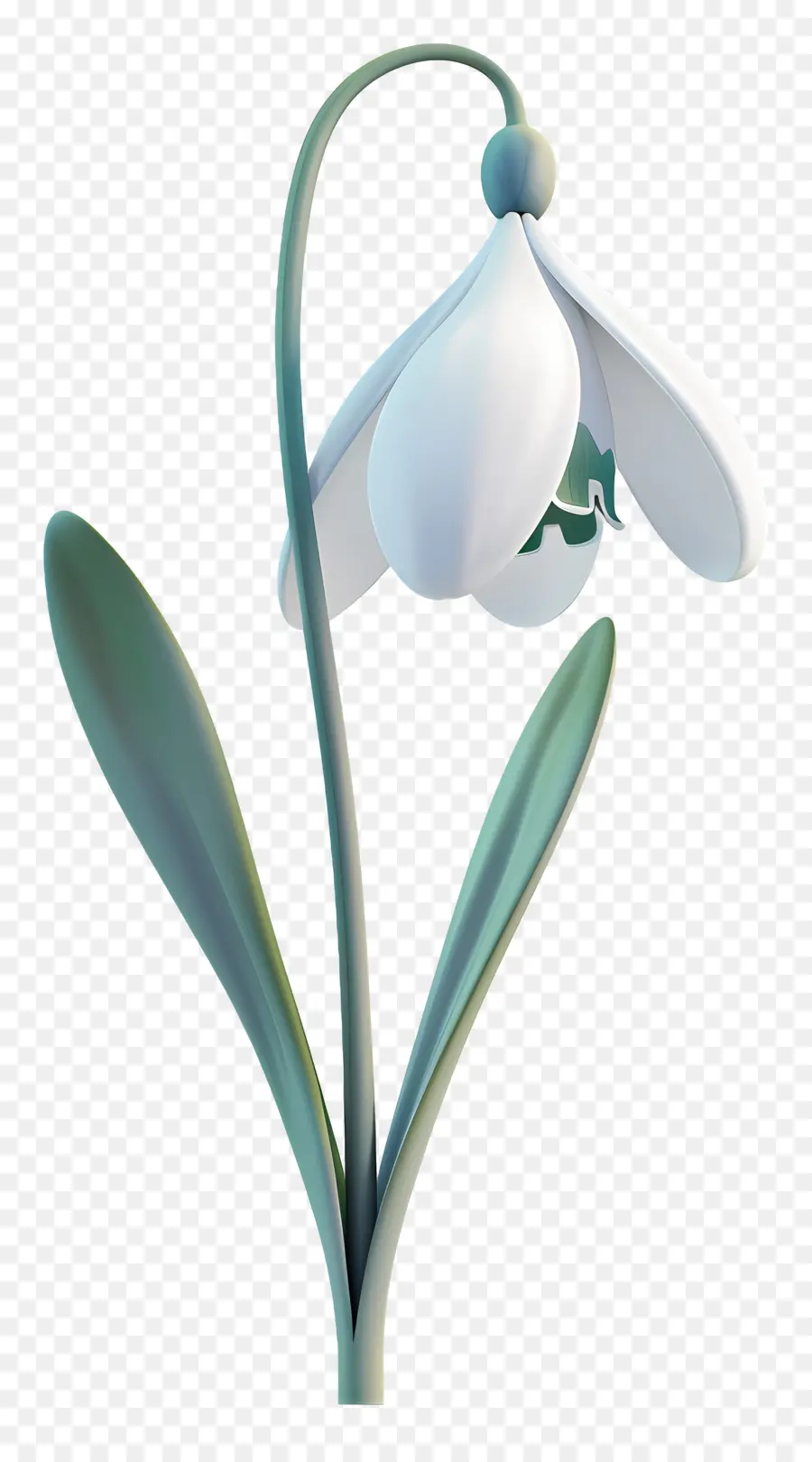 Fleur 3d，Fleur De Perce Neige PNG