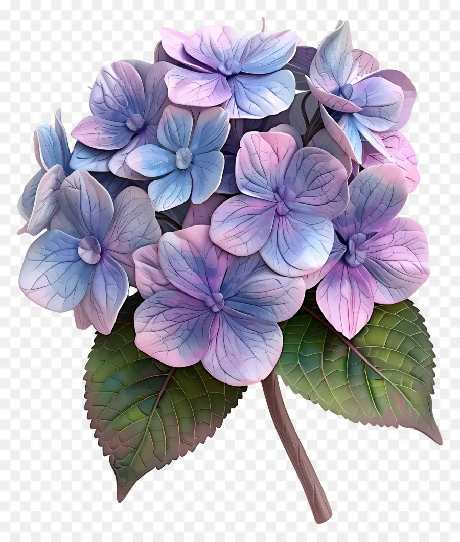 Fleur 3d，Hortensia PNG