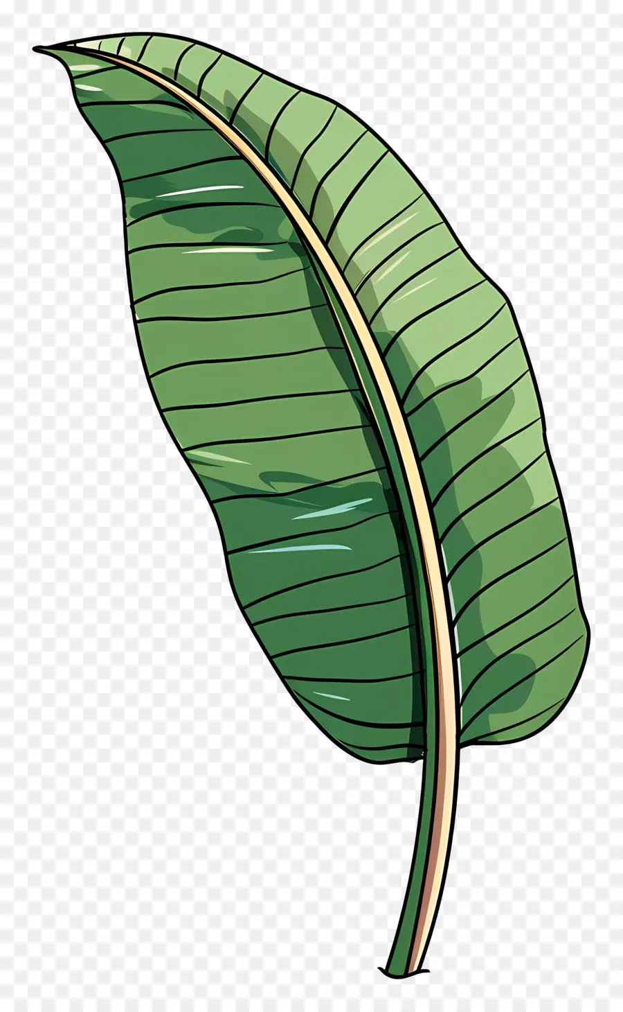 Feuille De Bananier，Feuille Verte PNG