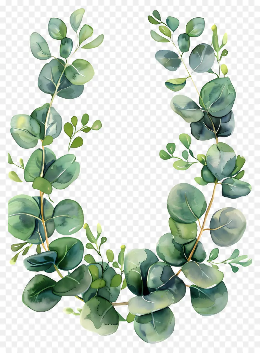 Couronne D'eucalyptus，Feuilles D'eucalyptus PNG