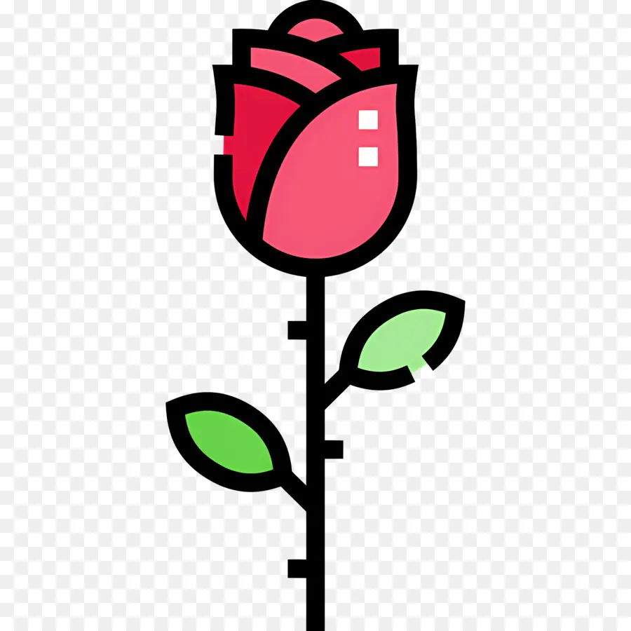 Fleur Rose，Rose Rouge PNG