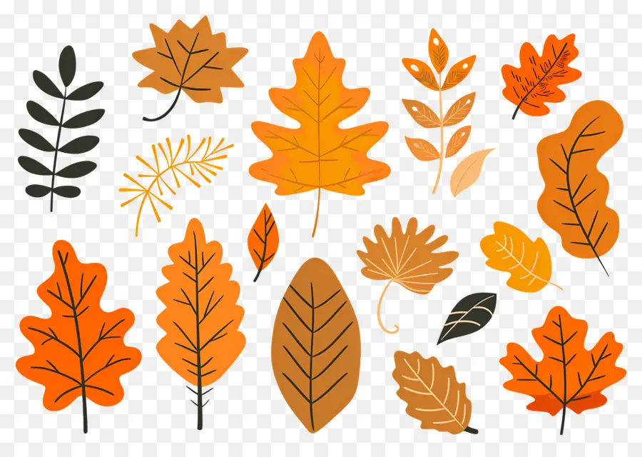 Feuilles D'automne，Automne PNG