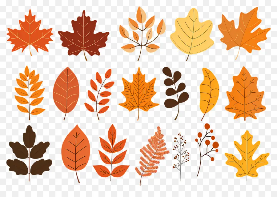 Feuilles D'automne，Automne PNG