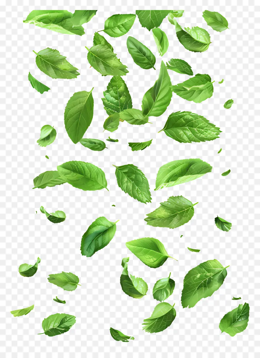 Feuilles Qui Tombent，Feuilles Vertes PNG