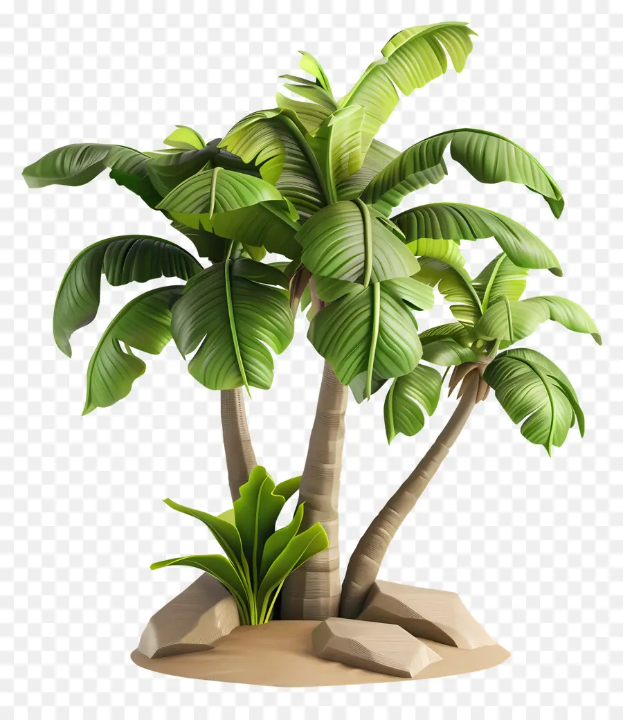 Arbre 3d，Palmiers PNG