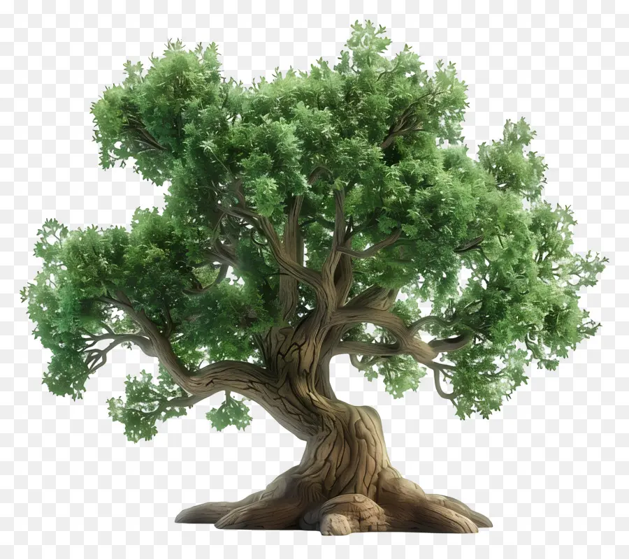 Arbre 3d，Arbre PNG