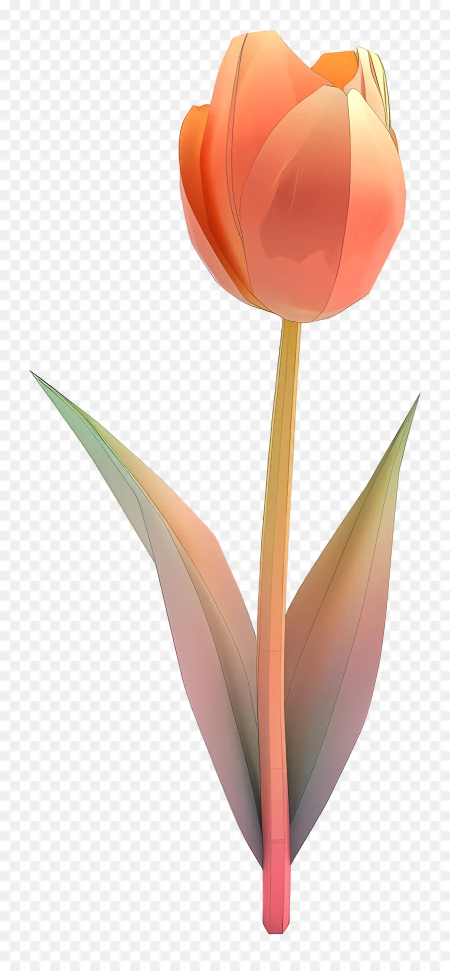 Fleur 3d，Tulipe Rose PNG