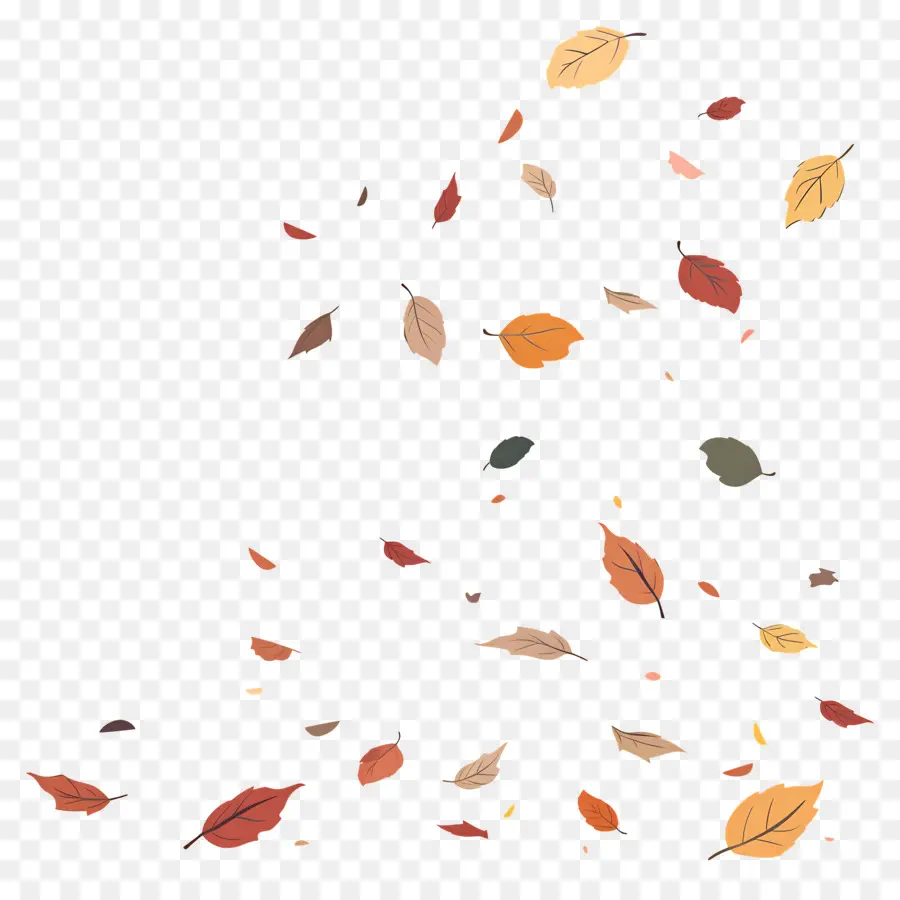 Feuilles Tombées，Feuilles PNG