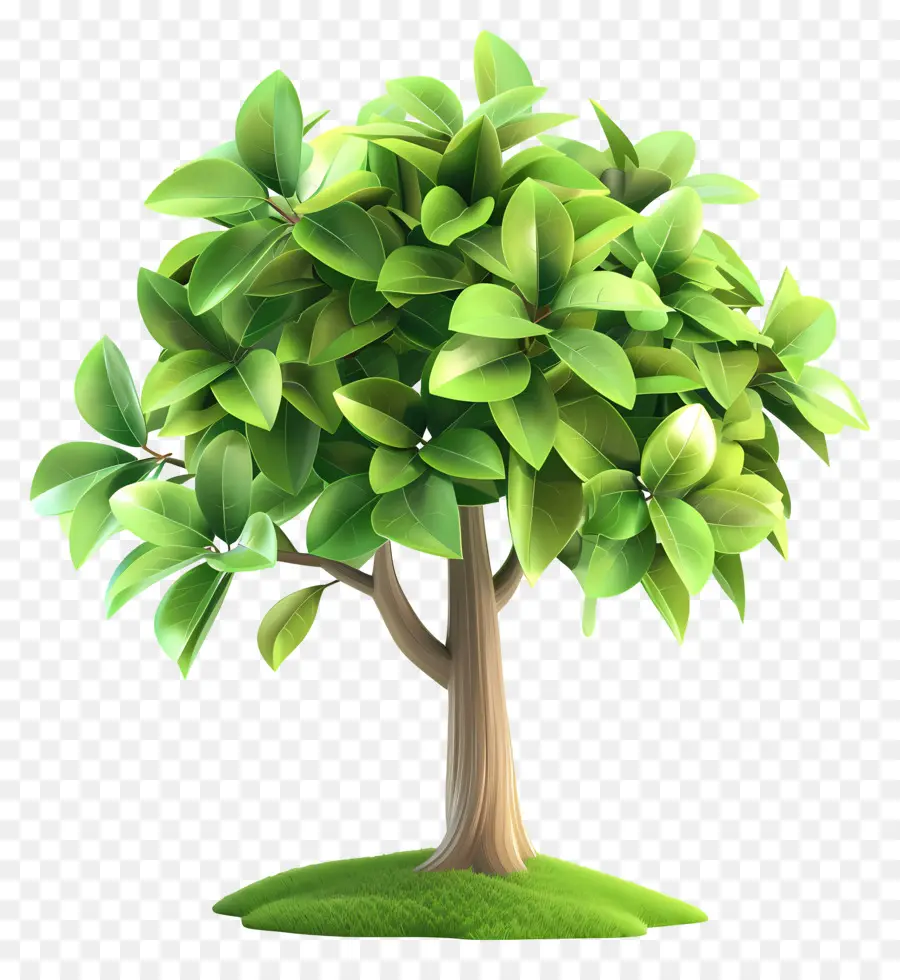 Arbre 3d，Arbre PNG