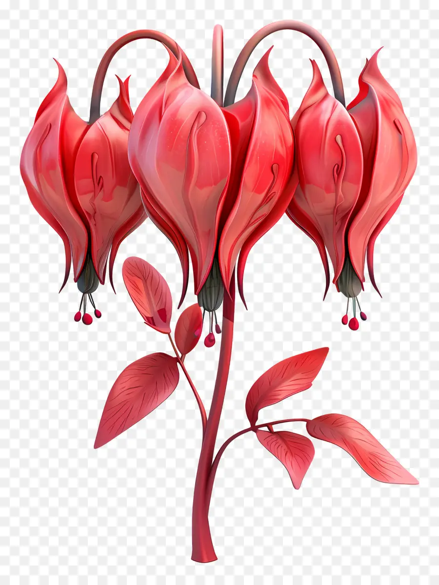 Fleur 3d，Fleurs Rouges PNG