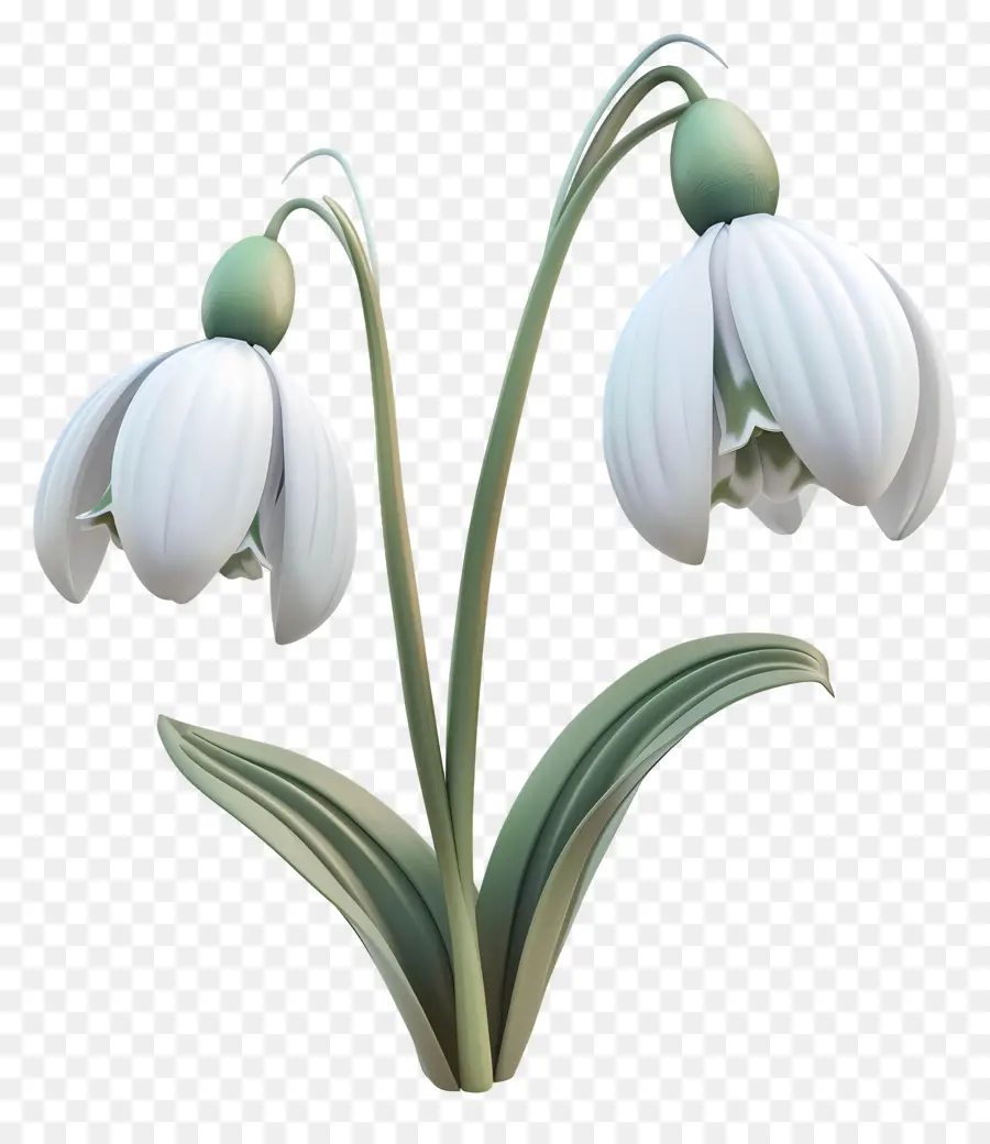 Fleur 3d，Perce Neige PNG