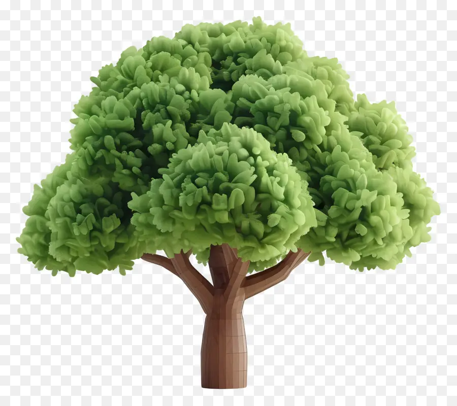 Arbre 3d，Arbre Touffu Vert PNG