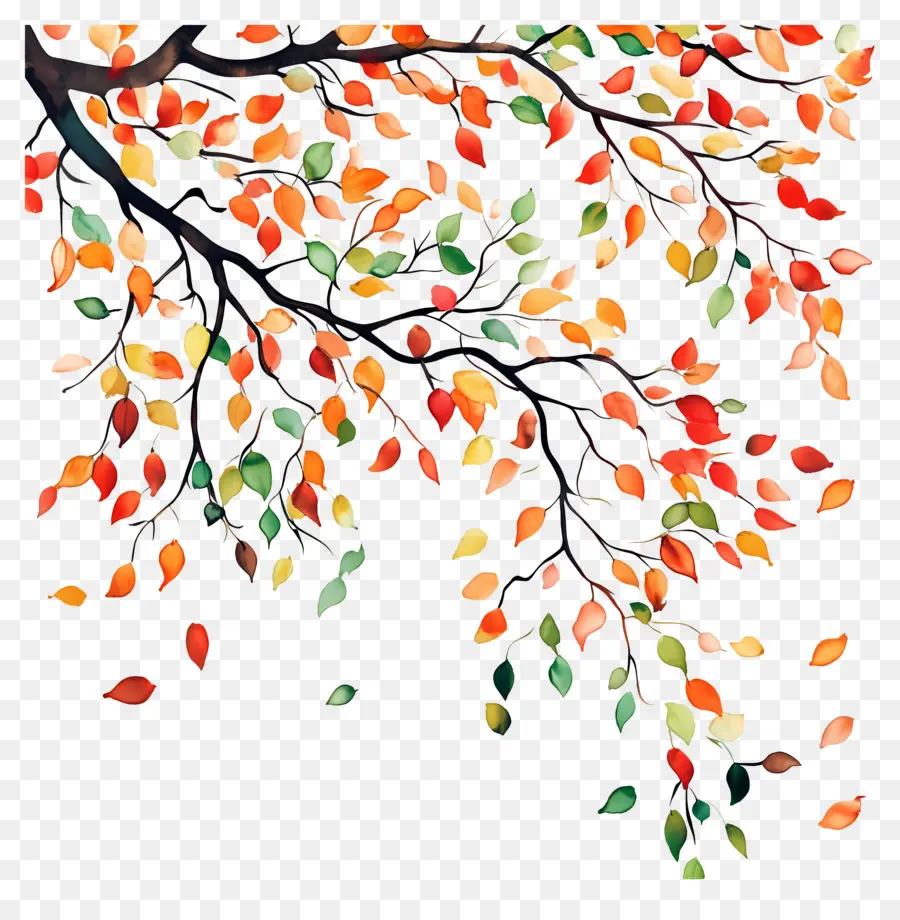 Feuilles Tombées，Feuilles D'automne PNG