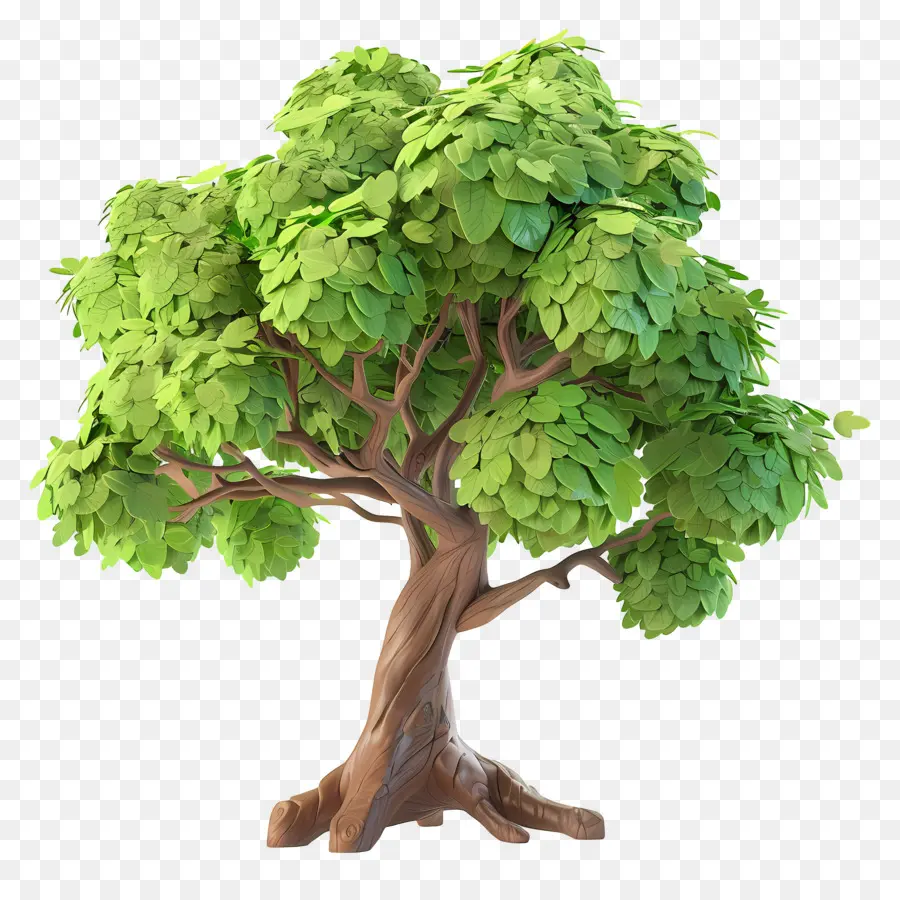 Arbre 3d，Arbre Vert PNG