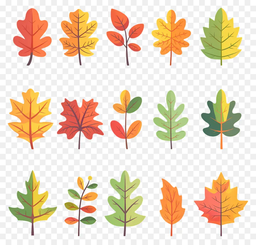 Feuilles D'automne，Automne PNG