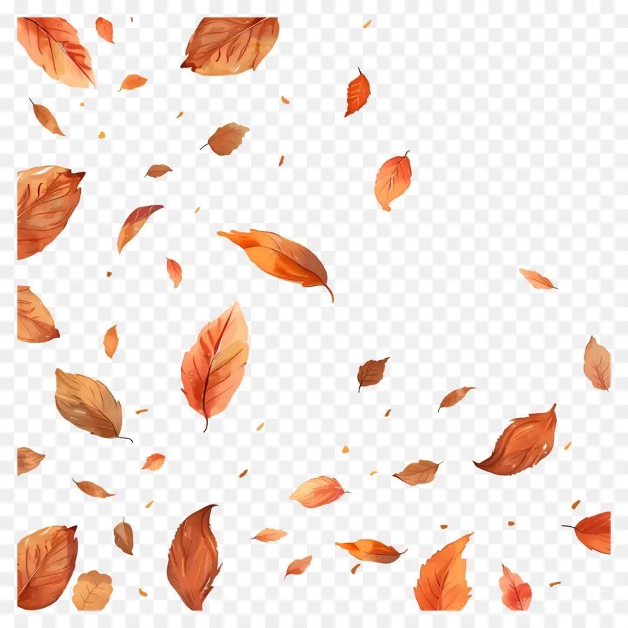 Feuilles Tombées，Feuilles PNG