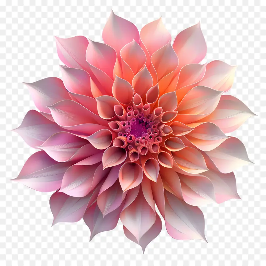 Fleur 3d，Fleur PNG