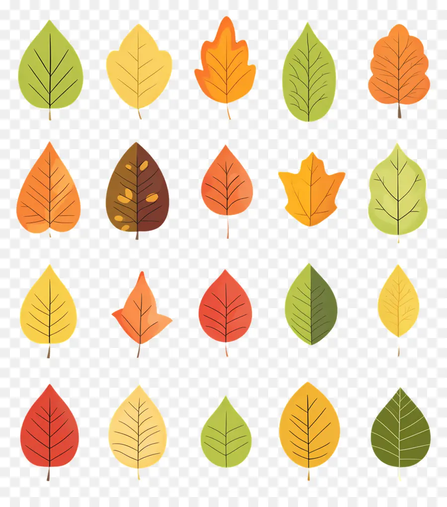 Feuilles D'automne，Automne PNG