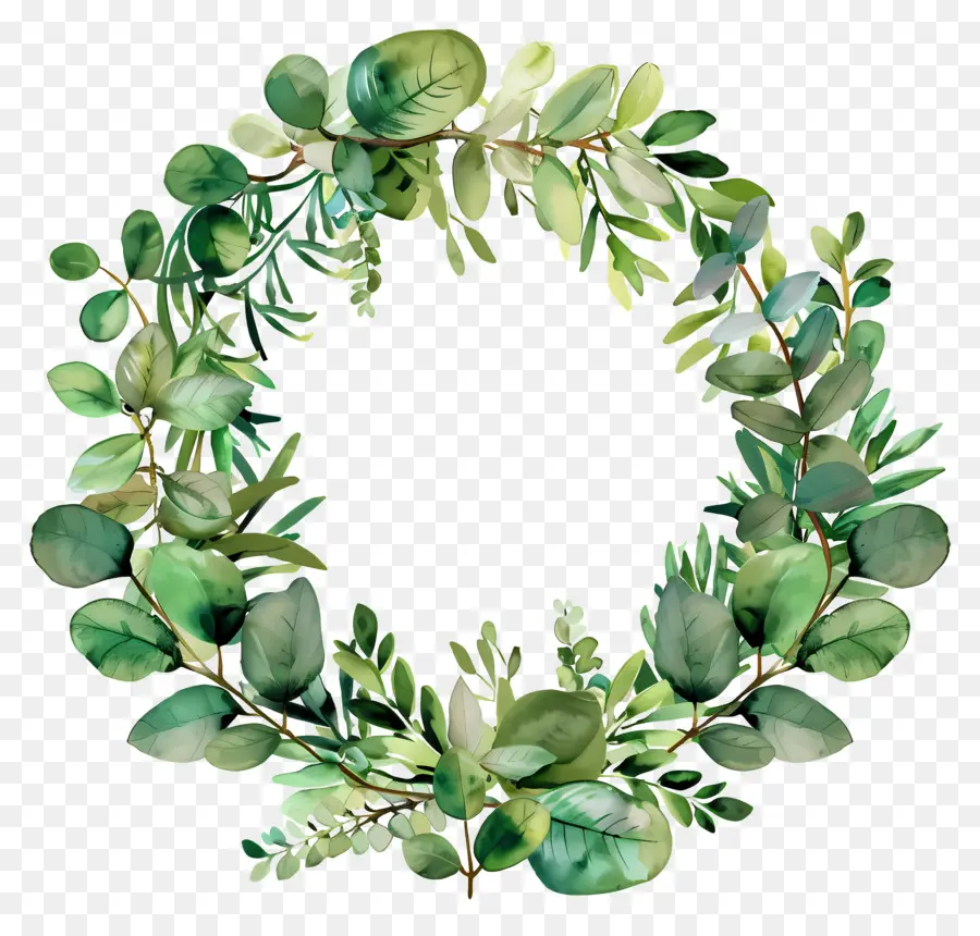 Couronne D'eucalyptus，Couronne PNG