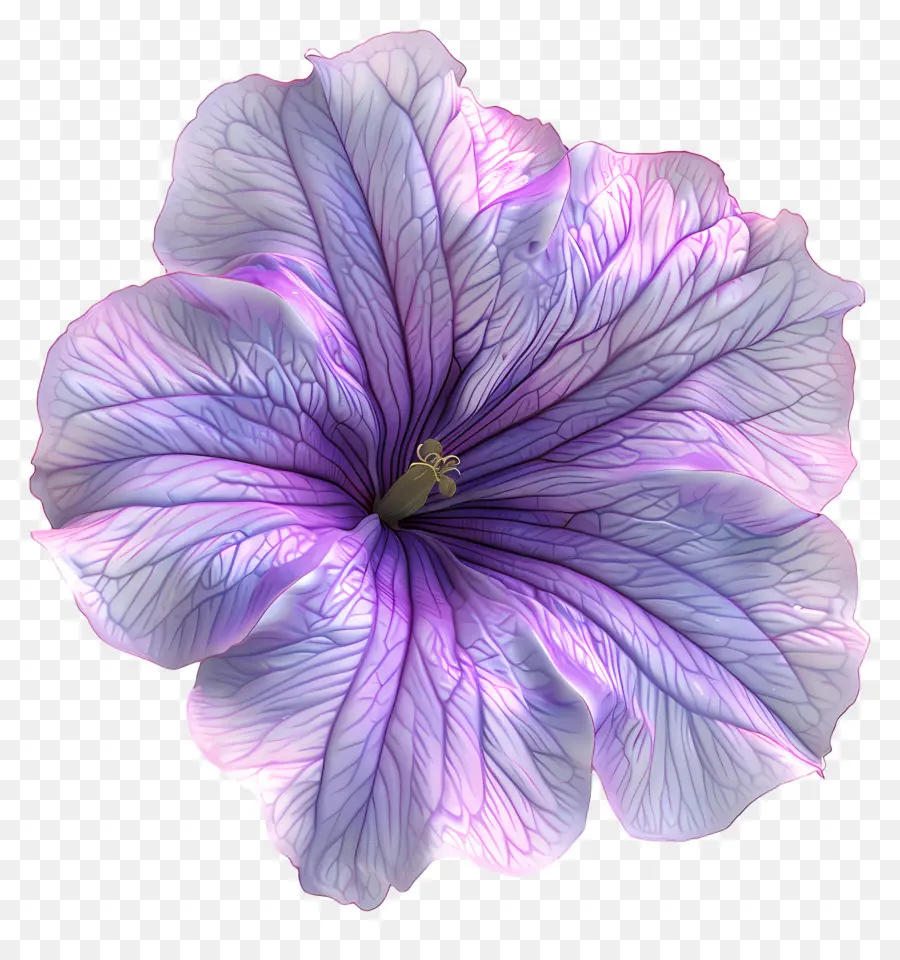 Fleur 3d，Fleur Violette PNG