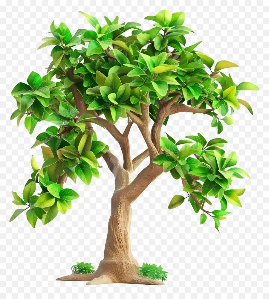 Arbre 3d，Arbre Vert PNG