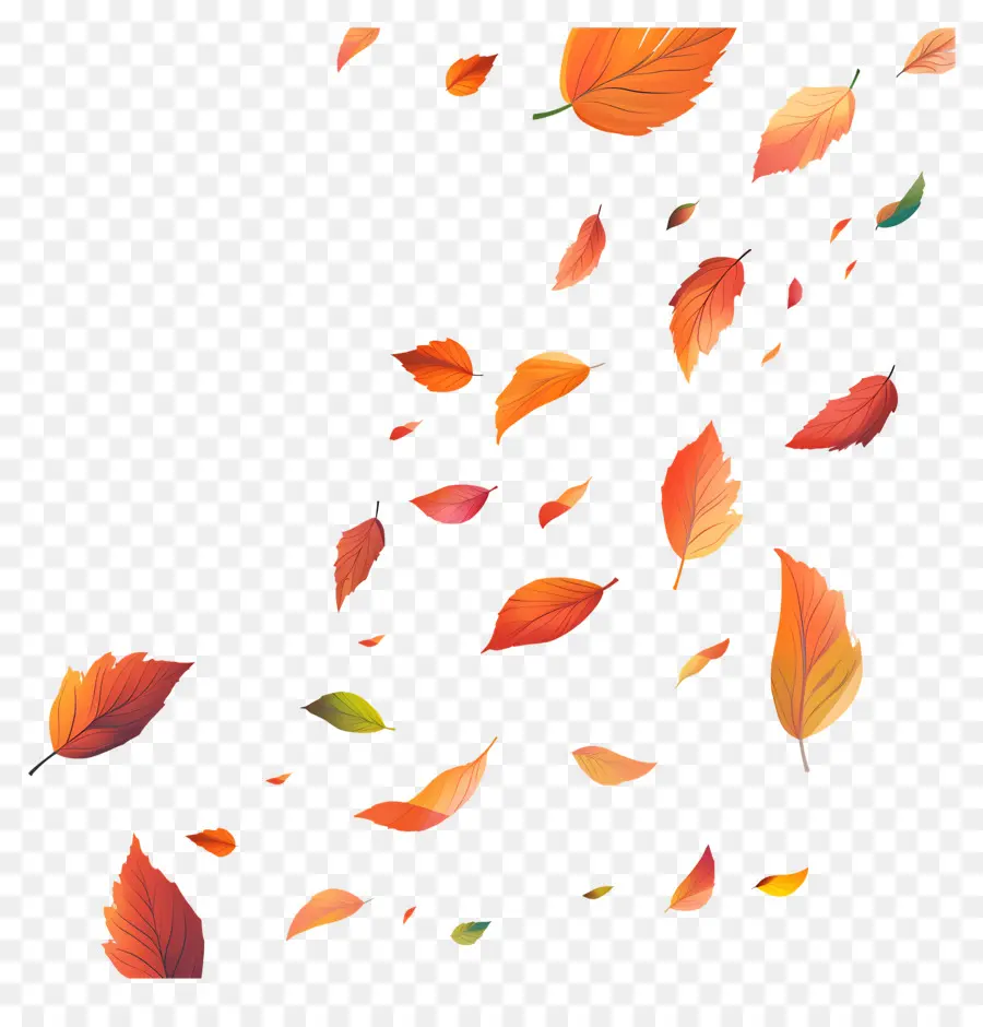 Feuilles Tombées，Feuilles PNG